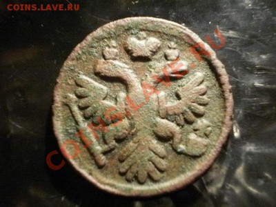 денга 1737г    Окончание: 31.05.11 в 21-20 - P1100021.JPG