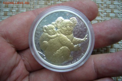 1 доллар 2008 Австралия Коала в коробке с доками - P2010672.JPG