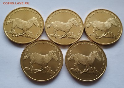 Польша, 2 злотых 2014 года, коник польский, 5 монет - IMG_20181203_160214