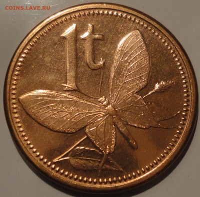 С 1 рубля UNC 1 тойя 2004 г.,Папуа Новая Гвинея, до 22ч 8.12 - Папуа Новая Гвинея 1 тойя 2004-1.JPG