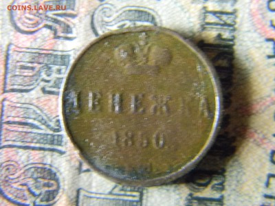 денежка 1850 ?м до 6.12.в 21.30 по Москве - Изображение 5339