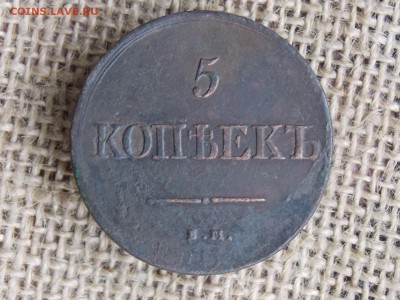 5 копеек 1831 до 09 12 2018 21-00 - DSCN3696.JPG