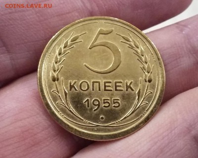 5 копеек 1955 г. до 09.12.2018 в 22:00 МСК - 20181206_152647