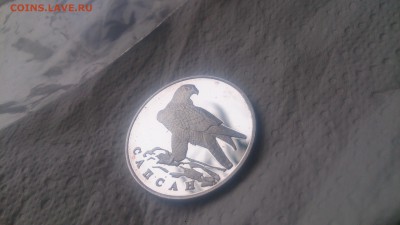 Красная книга 1 Рубль 1996 Сапсан до 12.12. 22.10 - DSC_4590.JPG