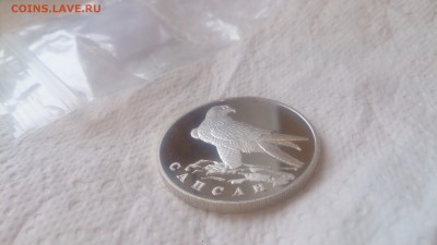 Красная книга 1 Рубль 1996 Сапсан до 12.12. 22.10 - DSC_4614.JPG
