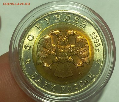 КК Туркменский Зублефар штемпельный UNC до 07.12.18 - IMG_20100202_021732.JPG