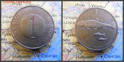Словения 1 толар, 1994 - 9