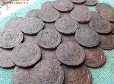 38 большекрылых пятаков Екатерины , 1788-1795 ЕМ, цена фикс - 38bk-2-2