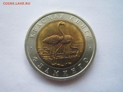 КК 1994 ФЛАМИНГО АНЦ 50 руб. до 09.12.18 в 22:30 - IMG_5158.JPG