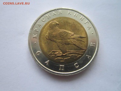 КК 1994 САПСАН АНЦ 50 руб. до 09.12.18 в 22:30 - IMG_5160.JPG