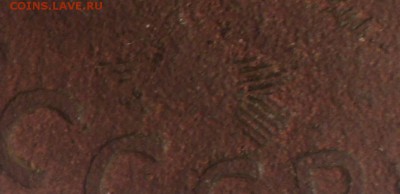 3 копейки 1924 года.Редкая 6 стеблей. до 10.12.18 в 22.00 по - DSC09046.JPG