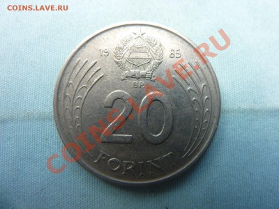 ВЕНГРИЯ 20 форинтов   1985 года  до 2.06.11 в 22-00 - MEMO0028.JPG