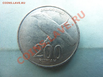 ИНДОНЕЗИЯ 200 рупий   ВОРОНА до 2.06.11 в 22-00 - MEMO0031.JPG