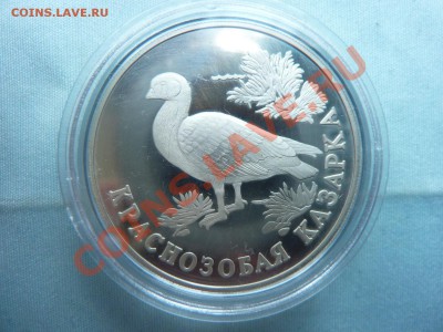 КРАСНАЯ КНИГА 1994г.   до 2.06.11 в 22-00 - MEMO0007.JPG