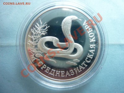 КРАСНАЯ КНИГА 1994г.   до 2.06.11 в 22-00 - MEMO0005.JPG