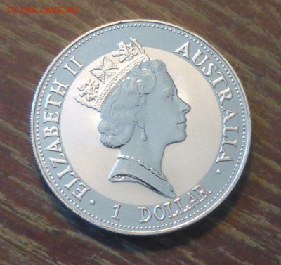 АВСТРАЛИЯ - КУКАБАРРА 1993 г. до 14.12, 22.00 - Кукабарра-93 (первая)_2.JPG