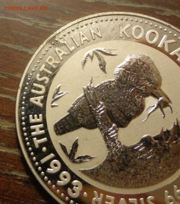 АВСТРАЛИЯ - КУКАБАРРА 1993 г. до 14.12, 22.00 - Кукабарра-93 (первая крупно)_.JPG