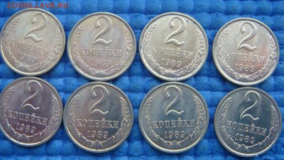 50  до 17-30 13.12 - DSC08124.JPG