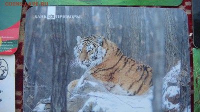 Календарики Приморье 19 штук до 17-45 13.12.18 - DSC08138.JPG