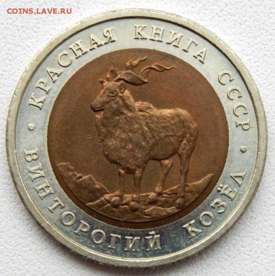 5 рублей 1991 ВИНТОРОГИЙ КОЗЕЛ до 11.12.18 - DSCN0585.JPG