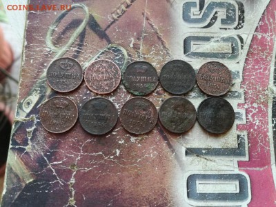 10 полушек 1851-1856 до 12.12.2018 - 10пол - копия