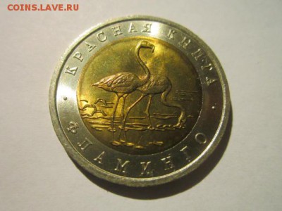 КК 1994 ФЛАМИНГО АНЦ 50 руб. до 09.12.18 в 22:30 - IMG_5244.JPG
