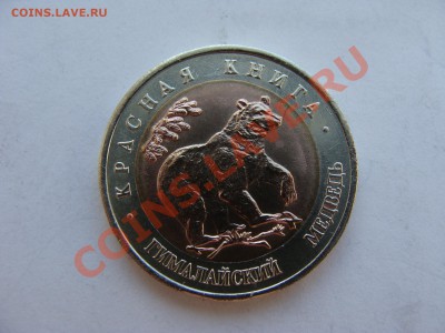 Кр.Книга.50р.1993г.Медведь. с Рубля.до 31.05.11. до 22.00. - DSC06001.JPG