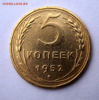 5 копеек 1952 г. до 13.12 в 22-00. - IMG_3289.JPG