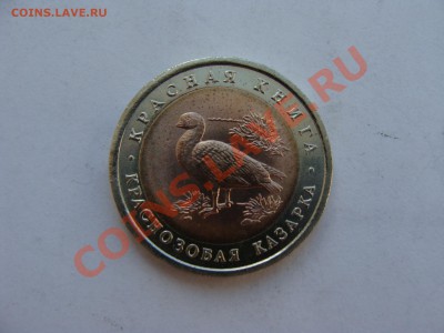 Кр.Книга.10р.1992г. Казарка.с Рубля.до 31.05.11. до 22.00. - DSC06013.JPG