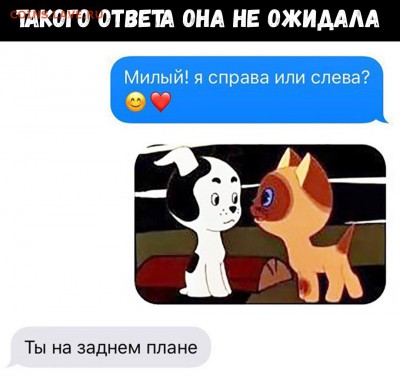 юмор - 8DKqaXK8rxg