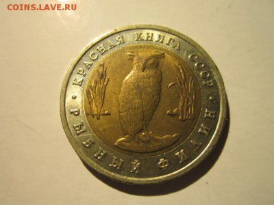 КК 1991 ФИЛИН 5 руб. до 16.12.18 в 22:30 - IMG_5282.JPG