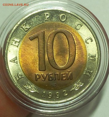 КК Среднеазиатская Кобра штемпельная до 11.12.18 - IMG_20100206_090733.JPG