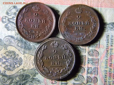 кладовые двушки 1811 ем нм, спб мк, им мк - Изображение 5377