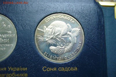 2 гривны 1999 соня садовая- 14-12-18 - 23-10 мск - P1990889.JPG