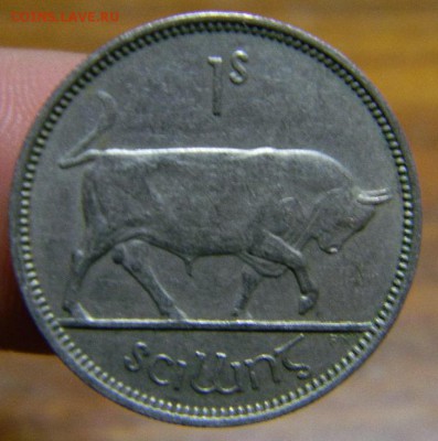 шиллинг ирландия 1954 г - DSCN8820_thumb