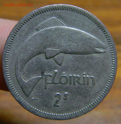 флорин ирландия 1964 - DSCN8824_thumb