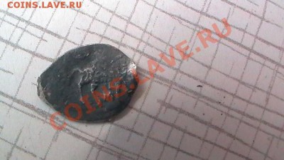 Помогите опознать - S1130016.JPG