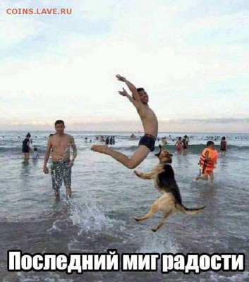 юмор - 2z-z_K_Ck0Q
