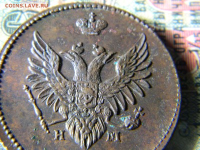 две кладовые двушки 1810 ем нм - Изображение 5408