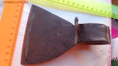 Топорик старенький    до 18.12 - DSC02469.JPG