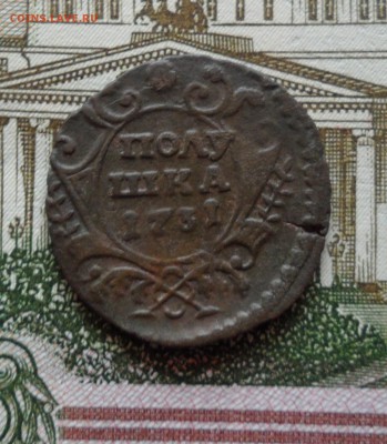 Полушка 1731 года, до 20.12.18 в 22.00 по мск - ц1.JPG