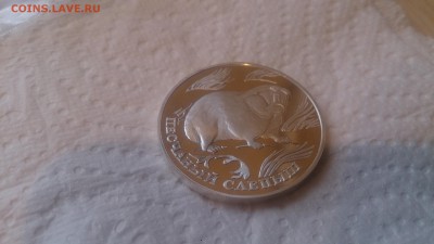 Красная книга 1 Рубль 1996 Слепыш до 20.12 22.10 МСК - DSC_4320.JPG