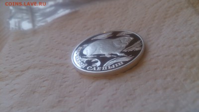 Красная книга 1 Рубль 1996 Слепыш до 20.12 22.10 МСК - DSC_4316.JPG
