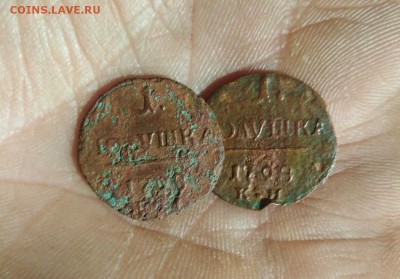 Полушки Павла1-2шт.км. 15.12.18 22.00 - imageAP8KIJ0A