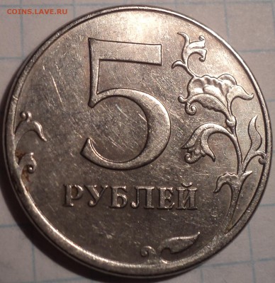 РАЗНОВИДНОСТИ  от  СЛФ - DSC02142.JPG