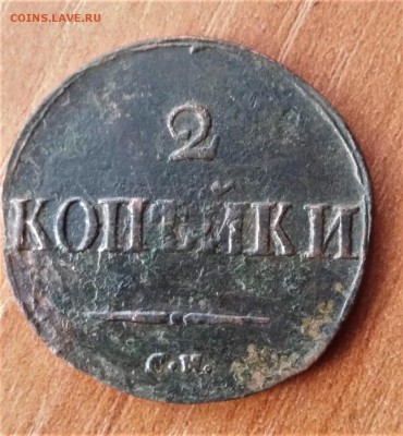 2 копейки и деньга сибирская. до 19.12.18.22.00 - imageHDGATT28