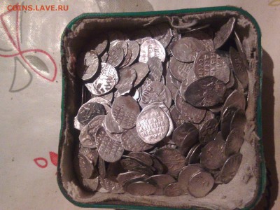 Определите по царям 20 чешуек. - image (32)
