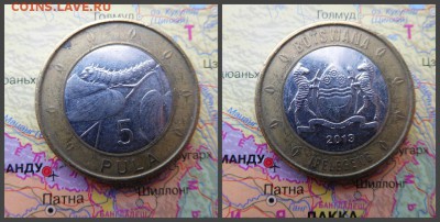 Ботсвана 5 пул, 2013 - 10