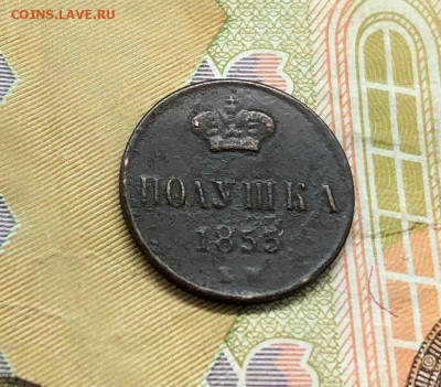Полушка 1855 Н I до 24.12.18 22:00 - IMG_5202-17-12-18-10-17