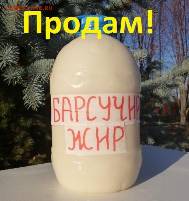 БАРСУЧИЙ ЖИР от охотника,фикс - 0ббббббббббб.JPG